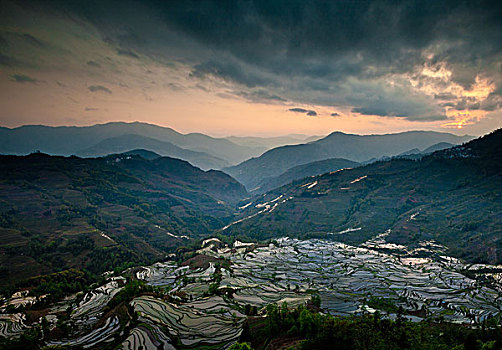 阶梯状,稻田,元阳