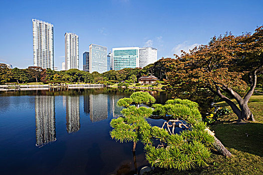 花园,摩天大楼,背景,汐留,东京,日本