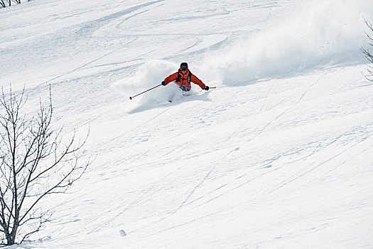男性,滑雪,山,隆河阿尔卑斯山省,法国