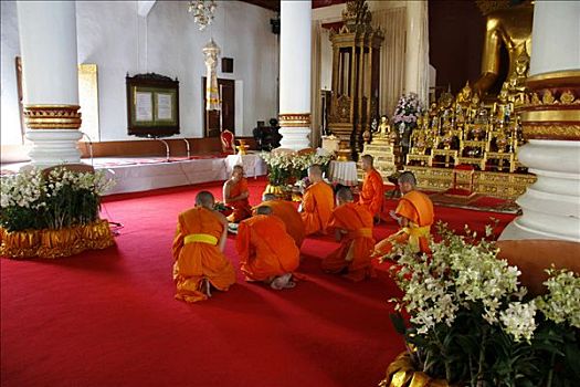 和尚,沉思,祈祷,寺院,唱,寺庙,清迈,泰国,亚洲