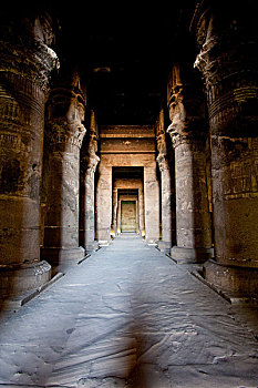 柱子,哈索尔,多柱厅,寺庙,丹达拉,埃及