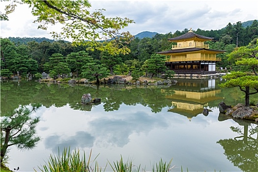 金阁寺,庙宇,金亭,京都,日本