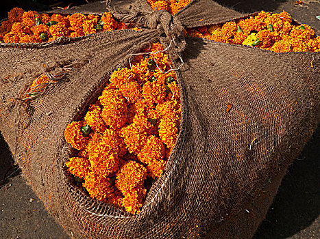 花,售出,批发,市场,老,德里,多样,宗教,新德里,印度,亚洲