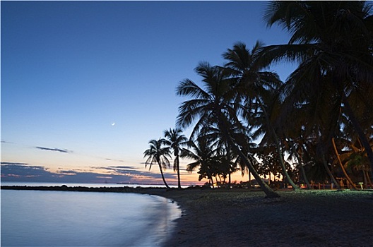 日落,海滩,西礁岛,佛罗里达