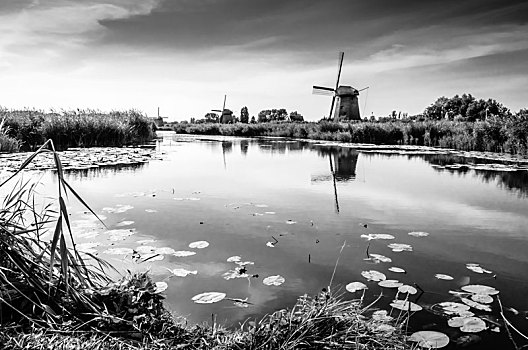 黑白,荷兰,风景