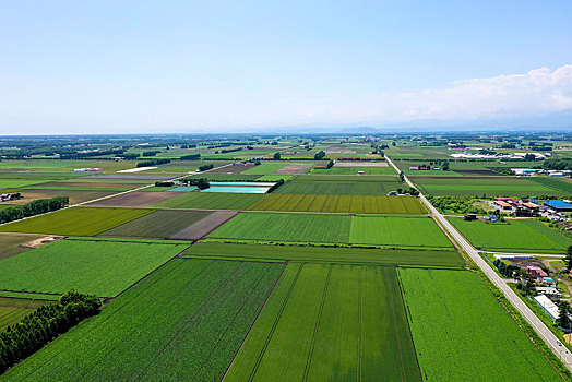 航拍,北海道,日本