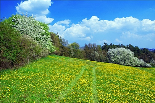 春景