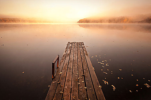 小,木质,码头,安静,湖,秋天,雾状,早晨,日出