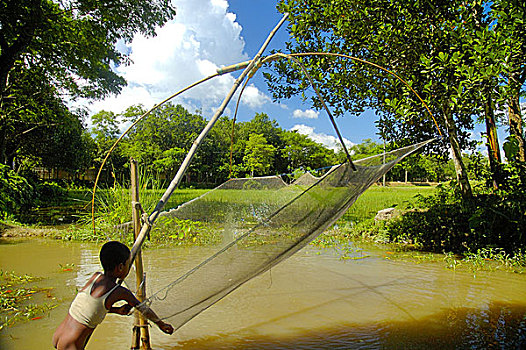 男孩,抓住,鱼,沼泽,孟加拉,六月,2007年