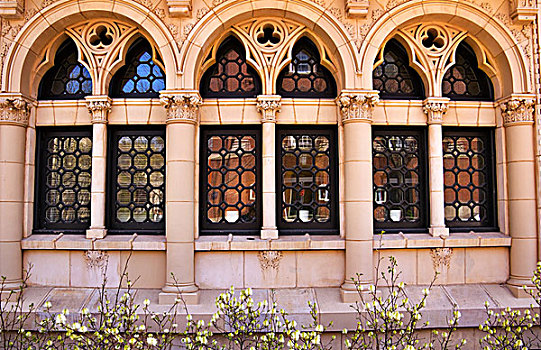 耶鲁大学,华丽,窗户,反射