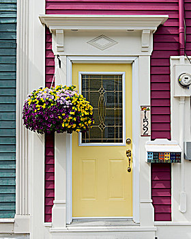 彩色,建筑,房子,正前,纽芬兰,加拿大