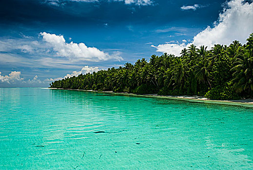 小,小岛,青绿色,水,蚂蚁,环礁,密克罗尼西亚