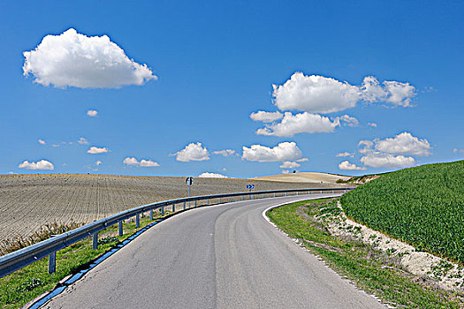 乡村道路,土地,安达卢西亚,西班牙