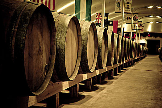 葡萄酒桶,地窖