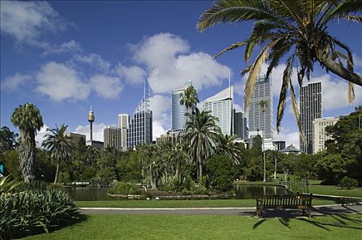 澳大利亚,新南威尔士,悉尼,中央商务区,皇家植物园