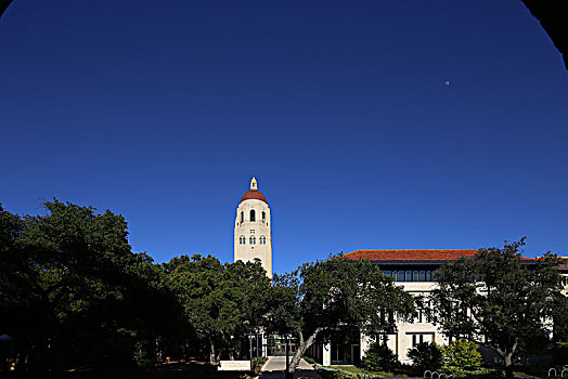 斯坦福大学