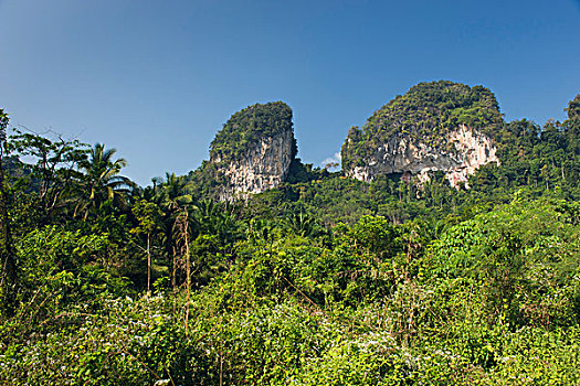 喀斯特地貌,石头,靠近,甲米,泰国,亚洲