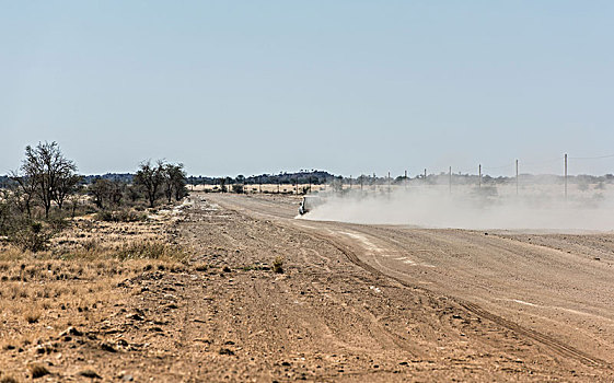 汽车,离开,灰尘,云,道路,纳米比亚