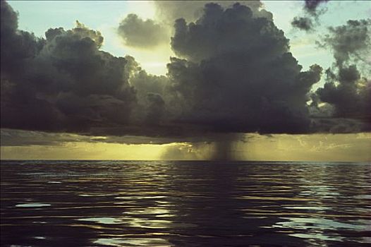 雨,落下,积雨云,乌云,上方,海洋,鲨鱼湾,澳大利亚