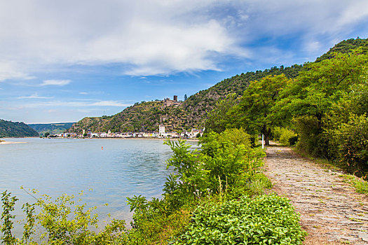 城堡,风景,莱茵河,德国