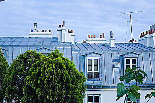 法国,巴黎,郡,屋顶