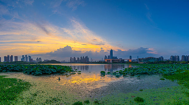 武汉,夏日,城市天际线,日落,夜景,风光