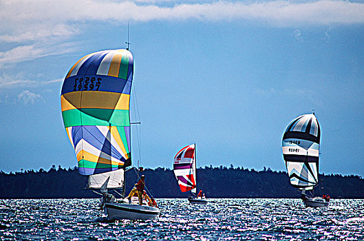 帆船,飞行,大三角帆,帆,水道,温哥华岛,不列颠哥伦比亚省,加拿大