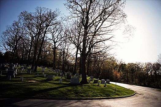 道路,墓碑,阿灵顿国家公墓,阿灵顿,弗吉尼亚,美国