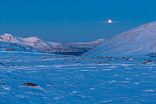 月亮,斜坡,攀升,特罗姆斯,挪威,欧洲