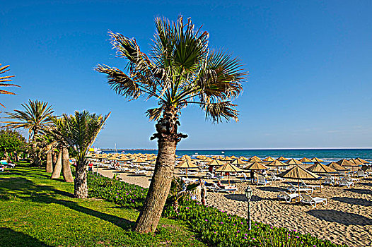海滩,青绿色,海岸,土耳其