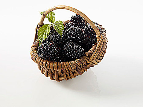 黑莓,小篮