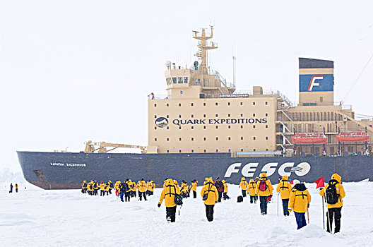 南极,威德尔海,乘客,俄罗斯,破冰船,走,浮冰,船