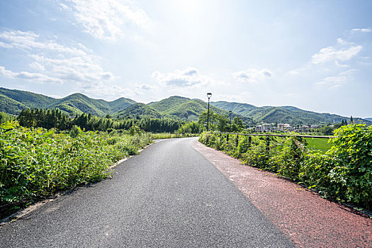 航拍茶园全景