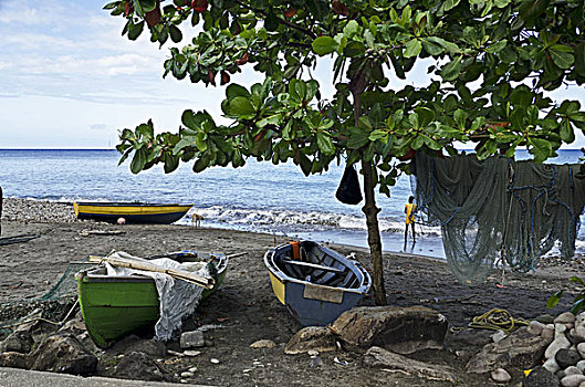 加勒比,格林纳达,渔船,海滩