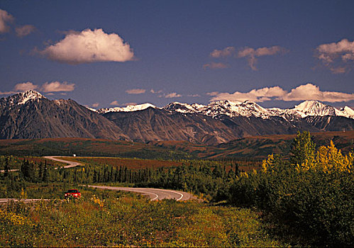 美国,阿拉斯加,麦金利山,乡村,秋天,彩色,白杨,山