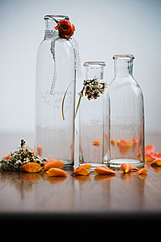玻璃瓶,工作室,花,白色,带