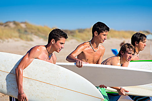 冲浪,青少年,交谈,海滩,岸边,拿着,冲浪板