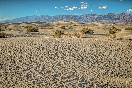 沙丘,死谷