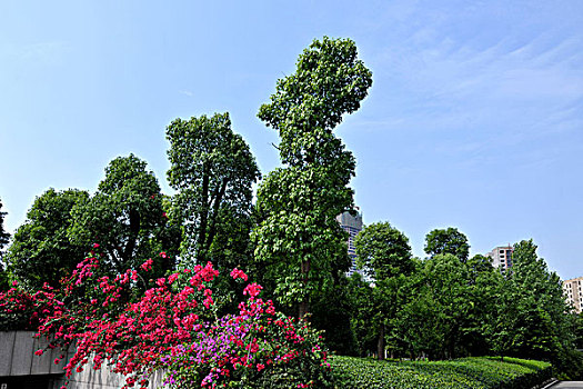 重庆江北咀中央公园