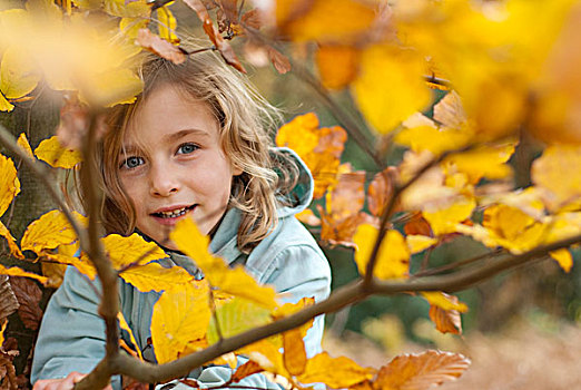 小女孩,树林,秋天
