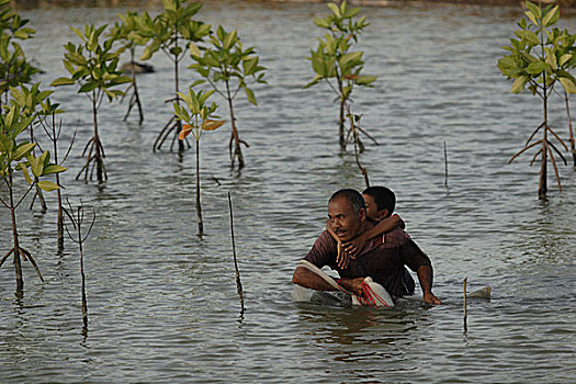 一个,男人,儿子,捕鱼,养鱼场,乡村,印度尼西亚,911事件,2007年