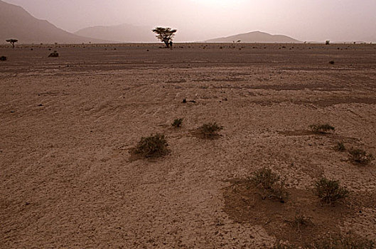 沙子,风暴,靠近,摩洛哥,北非