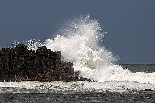 海浪,岩石上,飞溅,布鲁维拉,西部,省,斯里兰卡,亚洲