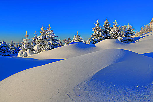 吉林省仙峰国家森林公园的雪景