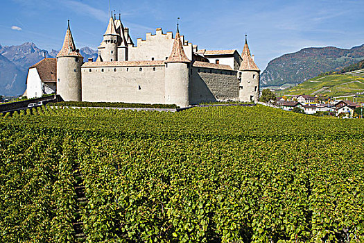 城堡,葡萄园,洛桑,沃州,瑞士,欧洲