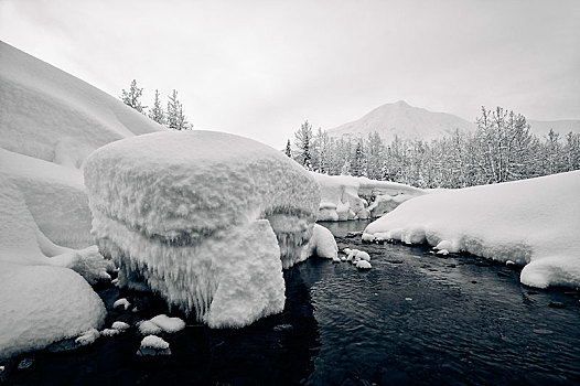 长椅,溪流,冬天,阿拉斯加