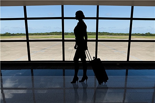 职业女性,行李,走,机场,窗户