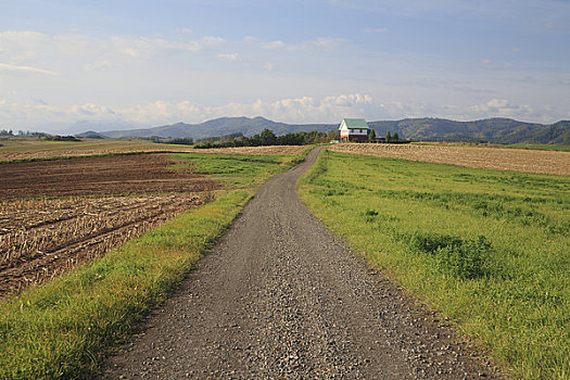 乡村道路