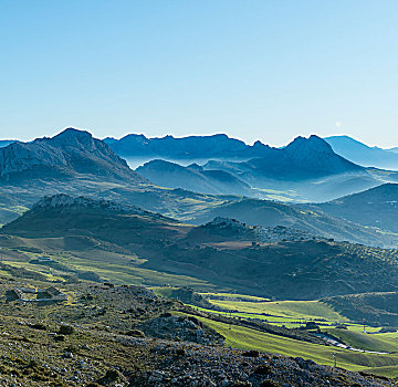 山,青山,风景,省,阿尔瓦塞特,安达卢西亚,西班牙,欧洲