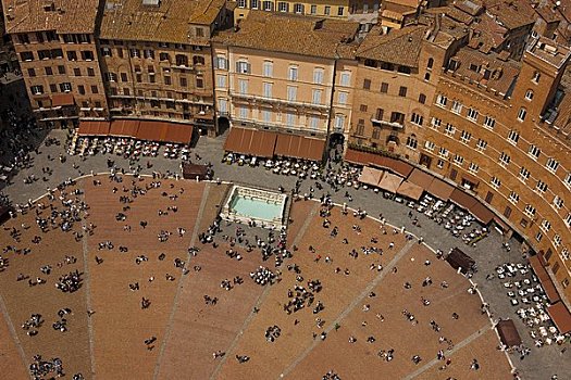 俯视,广场,锡耶纳,锡耶纳省,托斯卡纳,意大利